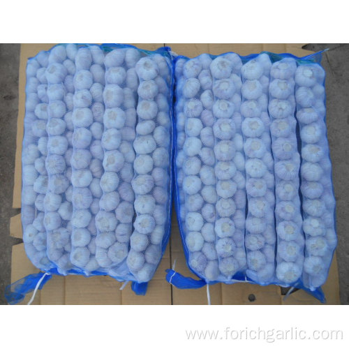 Different Sizes Garlic Braids In Mesh Bag